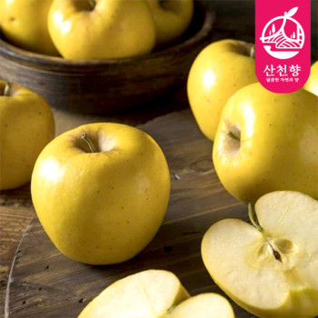 [산천향] 안동사과 25년 햇 시나노골드 (정품) 2kg/3kg5kg