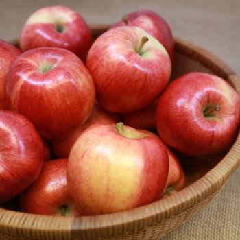 [산천향] 안동사과 꿀부사 (정품) 2kg/3kg5kg