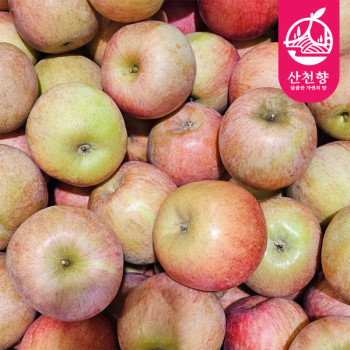 [산천향] 안동사과 꿀부사 (미색못난이) 2kg/3kg5kg