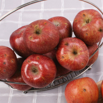 [산천향] 안동사과 꿀부사 (가정용) 2kg/3kg5kg