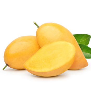 [후르츠팜] 항공직송 태국 골드망고 / 중량선택