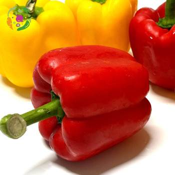 [새벽경매] 국내산 파프리카(노랑/빨강/혼합) / 중량선택