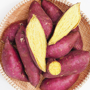 [경매직송] 25년 퍽퍽하고 타박한 햇 25호 진짜 밤고구마 (한입/로얄) 2Kg/3Kg/5Kg