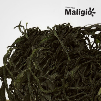 [말리죠] 국산 완도 건미역 1kg