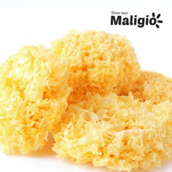 [말리죠] 건흰목이버섯 건백목이버섯 1kg