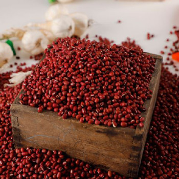 [25년_햇 국산팥 1kg] 토실토실 국산 팥 1kg