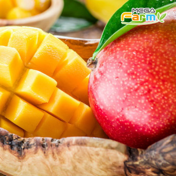 [봉스팜] 브라질 애플망고(특대/대) /2kg/4kg