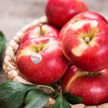 [봉스팜] 고당도 엔비사과 정품 2kg/3kg/5kg