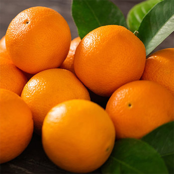 [봉스팜] 호주산 고당도 네이블 오렌지 중과 10과/20과/30과