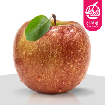 [산천향] 안동사과 꿀감홍 (가정용) 2kg/3kg5kg