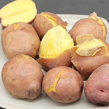 [남도애] 25년수확 홍감자 (특/왕특) 3kg/5kg