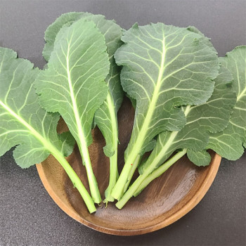 [남도애] 국내산 쌈케일 1Kg/2Kg