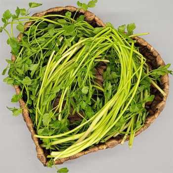 [남도애] 세척후 손질한 미나리 500g/1kg//2kg/4kg