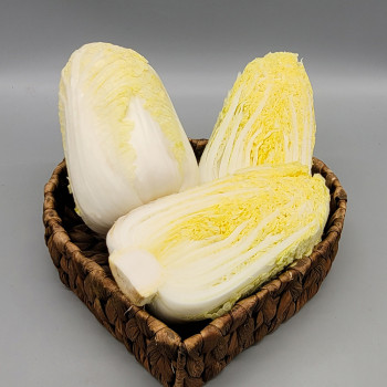 [남도애] 국내산 알배추 (개당 600g 내외) / 수량선택