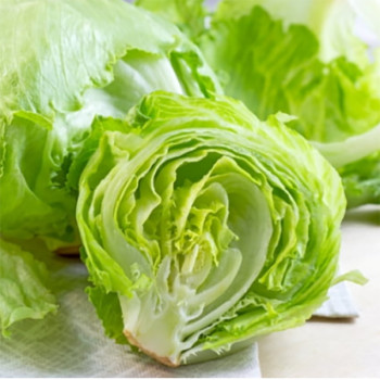 [남도애] 국내산 싱싱 양상추 2통/4통/6통