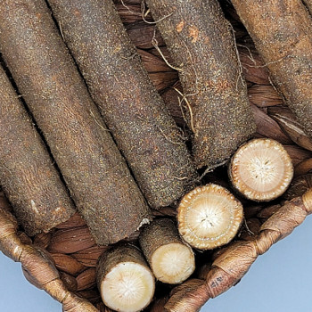 [남도애] 국내산 생우엉 1kg/2kg/4kg