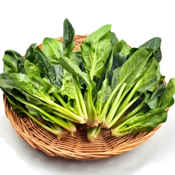 [남해 보물초] 국내산 해풍맞고 자란 보물초 시금치 1kg