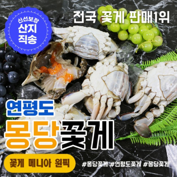 [국내산] 활 숫꽃게/ 냉동 숫꽃게 1kg 소 중 대