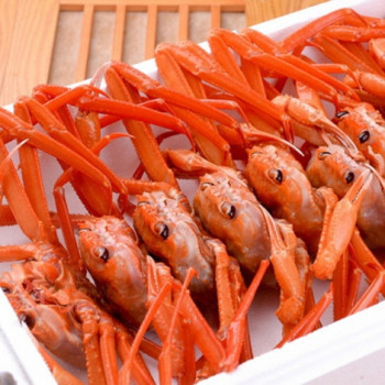 동해 자숙 홍게 2kg/ 3kg 라면육수용/일반용/프리미엄급