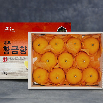 [황금향 선물세트] 제주산지직송 고당도 황금향 3k(11~16과)