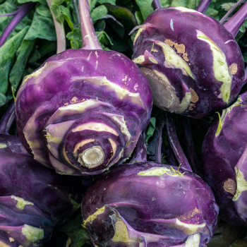 [새벽경매] 국내산 신선 콜라비 2kg/3kg/4kg/5kg/10kg/15kg