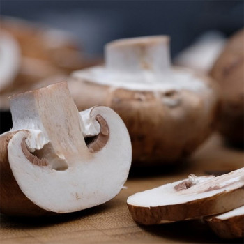 [남도애] 국내산 생표고버섯 500g/1Kg