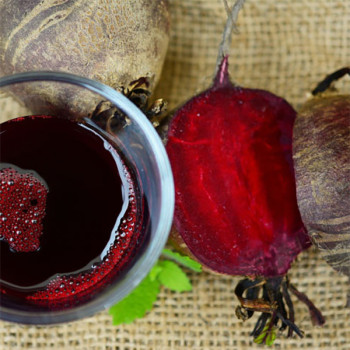 [남도애] 국내산 비트 5kg/10kg