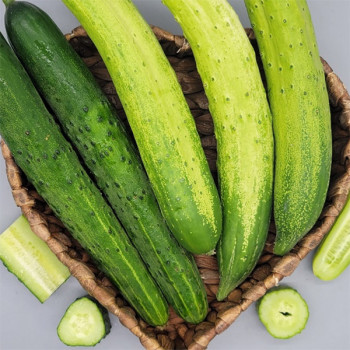 [남도애] 국내산 백오이 1kg/2kg/3kg