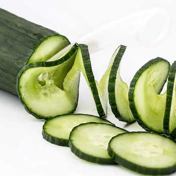 [남도애] 국내산 취청오이 1kg/2kg/3kg