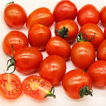 [남도애] 대추방울토마토 1kg/2kg/3kg/5kg