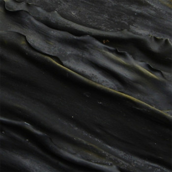 [남도애] 완도 건다시마 (500g이상)