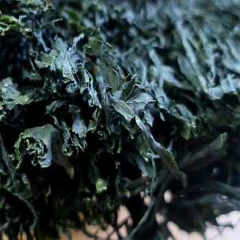 [남도애] 완도 건미역 (500g이상)