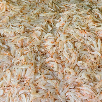 [남도애] 국내산 새우젓(추젓) 1kg/2kg