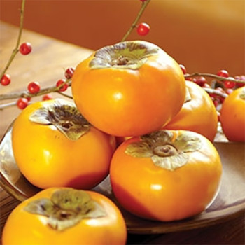 [남도애] 국내산 햇 단감 2kg/3kg (중/대/특/특특)