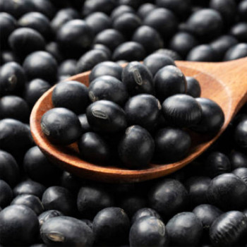 [남도애] 25년 국내산 서리태(속청) 1kg/2kg