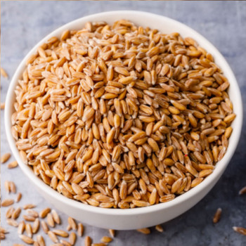 [남도애] 25년 국내산 햇 귀리쌀 1Kg/2Kg/3Kg