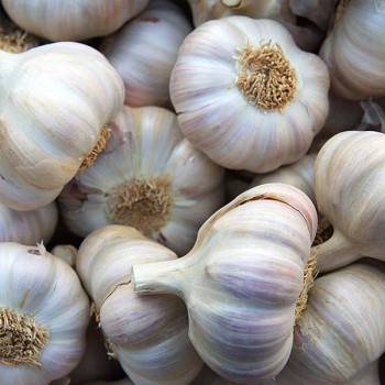 [남도애] 국산 25년산 통마늘(햇마늘) 1kg/2kg/3kg