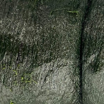 [남도애] 장흥 햇 찰매생이 특품(개별진공포장 2재기/재기당380~400g/3~4인용)