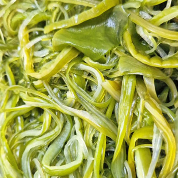 [남도애] 완도산 특품 염장 미역줄기 350g 2팩