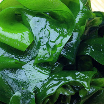 [남도애] 완도산 특품 염장 쌈다시마 350g 2팩