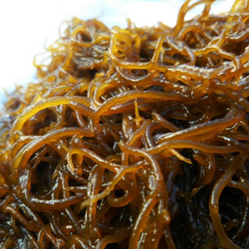 [남도애] 완도산 특품 염장 꼬시래기 350g 2팩