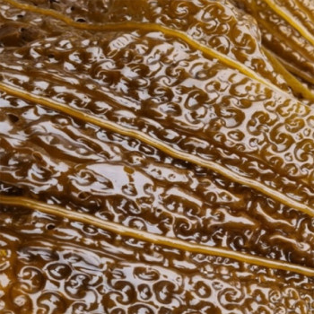 [남도애] 완도산 특품 염장 곰피 350g 2팩