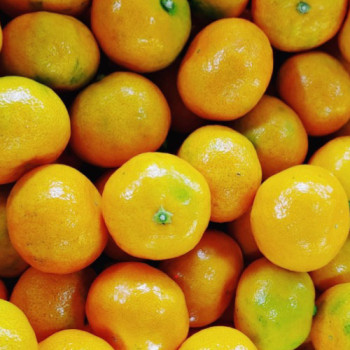 [남도애] 제주 감귤 3kg(특품 35~50과)