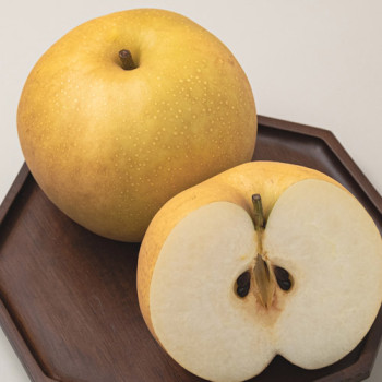 [남도애] 25년산 햇 나주배 정품 5개/10개