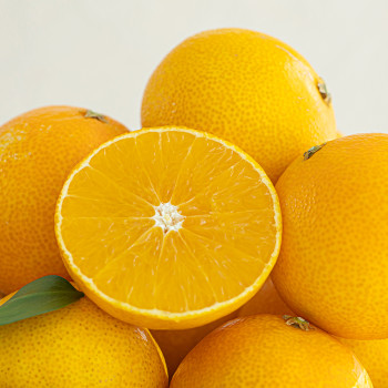 제주도에서 올라온 새콤달콤 황금향 13brix