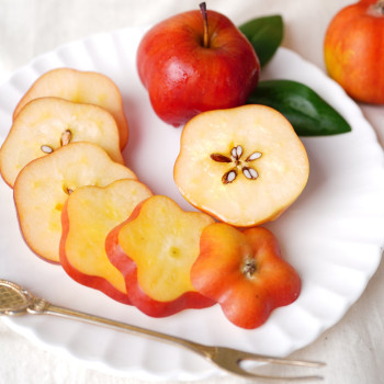 하늘이 내린 영주 별사과 미니사과 샐러드용 소과 대과 선물세트