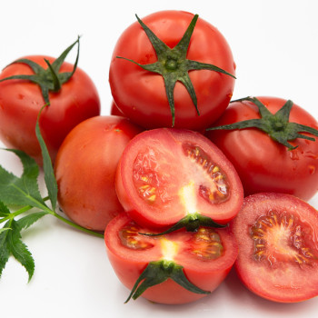 [농장직송] 완숙 토마토 2kg/5kg