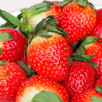 [아침애딴] 논산 설향 딸기 700g 특품(20-30구)