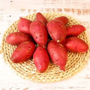 2025 해남특품꿀고구마 3kg/5kg/10kg 12종 택1