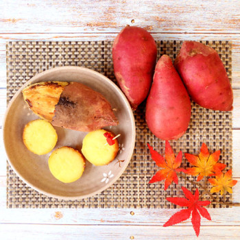 2025 해남특품호박고구마 3kg/5kg/10kg 12종 택1